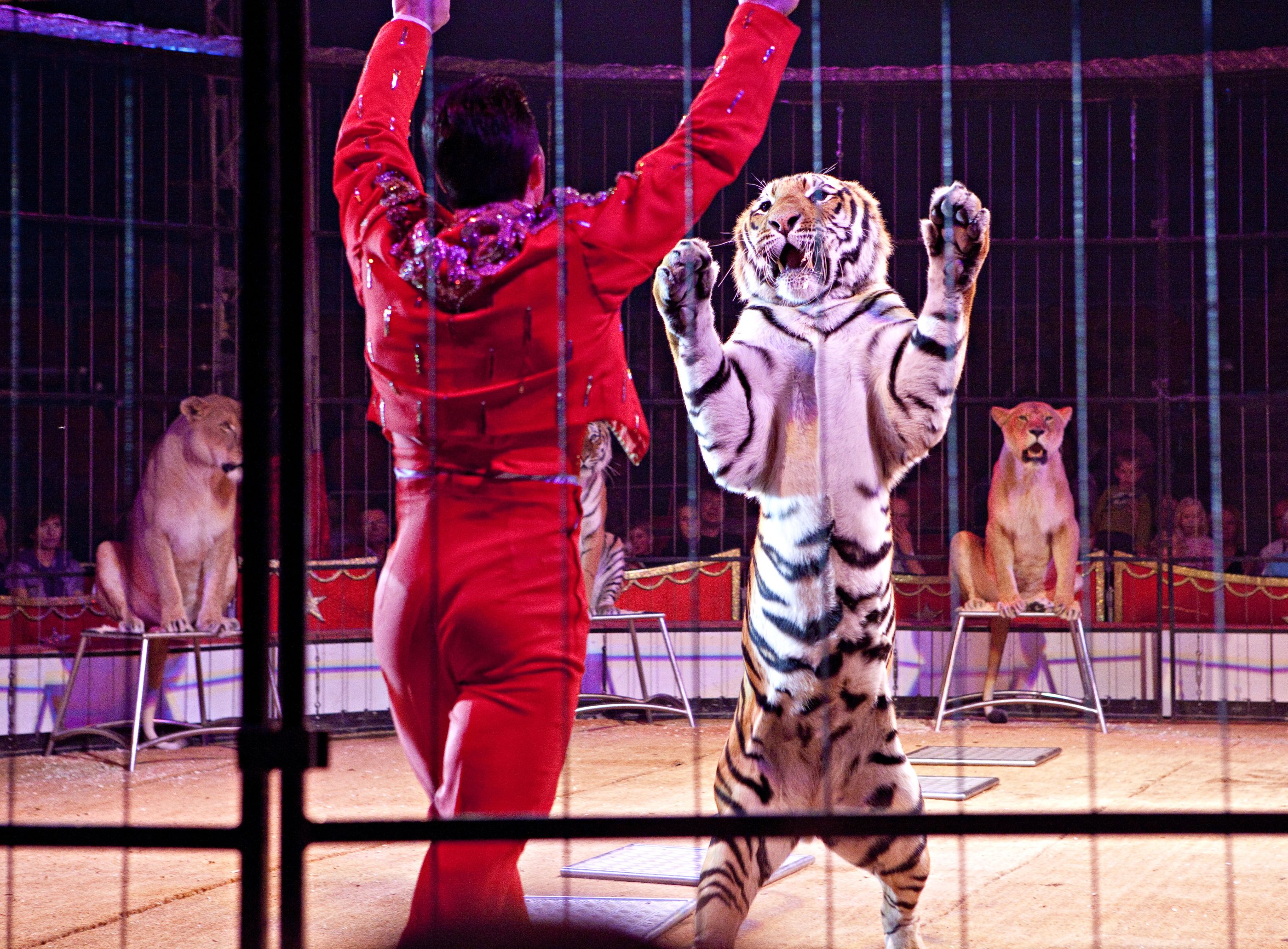 No More Circus Animals! | Financial Tribune